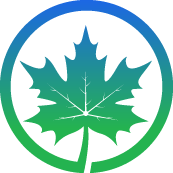 Maple Tree Pruning
