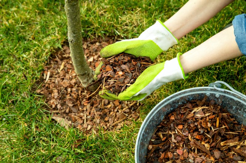 Leaf Mulching