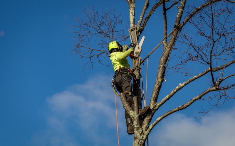 Side Branch Removal