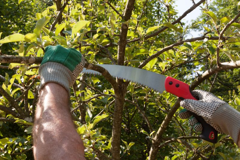 Tree Preservation Techniques